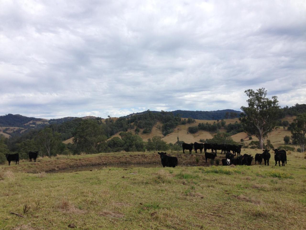 Bobby'S Country Rental Eccleston Esterno foto
